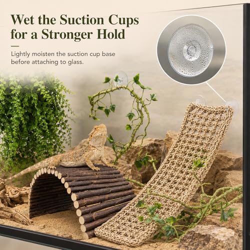 RUNANIA Bearded Dragon Tank Accessories, 10 PCS Reptile Hammock Plants Bridge Jungle Climber Vines for Snakes Bearded Dragon Chameleon Gecko Lizard - size: Medium