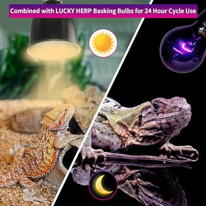 LUCKY HERP Reptile Heat Lamp 75W 2 Pack, Reptile Night Heat Bulb, Reptiles & Amphibians Basking Spot Light Bulb for Bearded Dragon, Lizard, Snake, Turtle, Chameleon