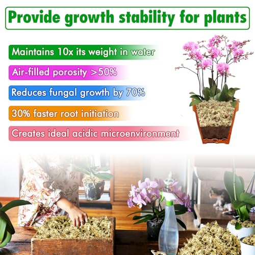4 qt Sphagnum Moss for Indoor Plants, Natural Dried Long Fiber Moss for Orchid Repotting, Carnivorous Plants, Succulents, Monstera, Flower & Reptile Terrariums Habitats (3 oz) - size: 3oz