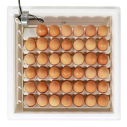 Farm Innovators 4250 Digital Circulated Air Incubator with Egg Turner | 4 dozen egg capacity; auto turner; integrated fan; digital display w/temperature, humidity, days to hatch; large window; 40W