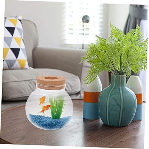 Abaodam Glass Terrarium for Plants Home Decoration Bottle Lid for Landscape Office Decor and Fish Keeping Container - size: 12X10X10CM