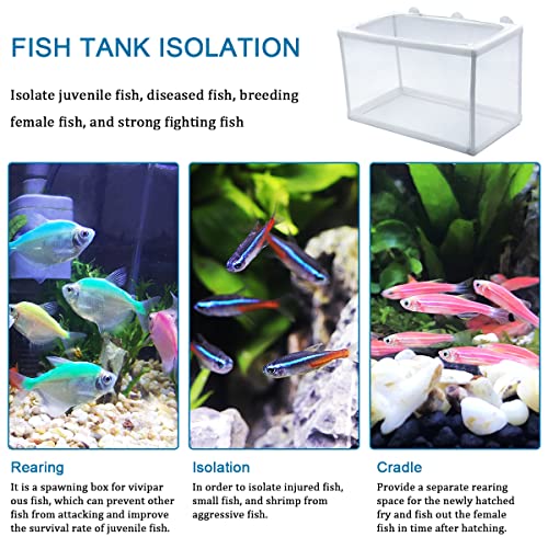 2 Pack Aquarium Fish Breeder Box | Fish Isolation & Hatching Box with Incubator Mesh & 10 Suction Cups (Small & Big Size)