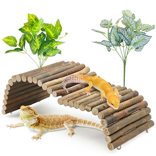 BNOSDM Small Reptile Hide Tortoise Hideout Bearded Dragon Wooden Bridge Snake Climbing Tunnel Reptile Tank Habitat Decor for Lizards Spiders Gecko Ball Python (15.7x5.9 in) - color: Small-15.7x5.9in