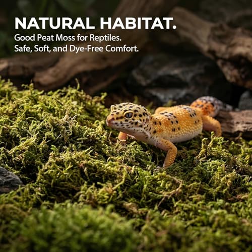 RAINFLOW Sphagnum Moss for Reptiles - 5 Oz Terrarium Reptiles Moss Green Dried Peat Moss Habitat Bedding Moss for Leopard Gecko Turtle Frog Snakes Lizards