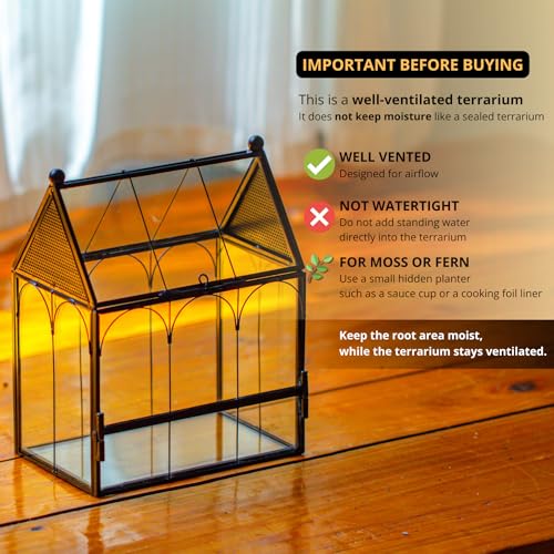 NCYP Small Glass Terrarium Enclosure with Mesh for Jumping Spiders, Micro House Shaped Small Spiders Vented Glass Terrarium, Home Decor Black, 5.8" x 3.8" x 7" (No Plants) - size: 5.8" x 3.8" x 7"