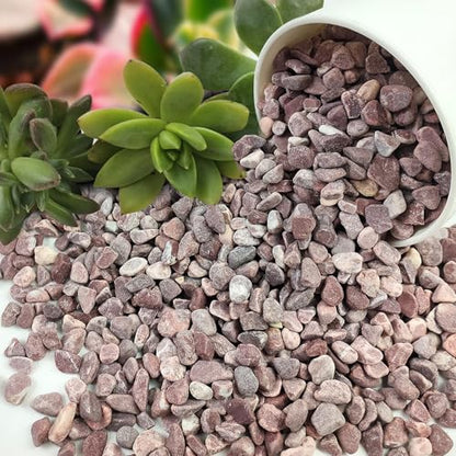 FANTIAN 2 lbs Succulent Cactus Rocks, 3/8 Inch Aquarium Gravel, Red | Small Stones Pebbles for Indoor Plants, Vases, Fish Tank, Terrarium, Pot Top Dressing, Drainage, Outdoor Garden Landscaping - color: Red Gravel