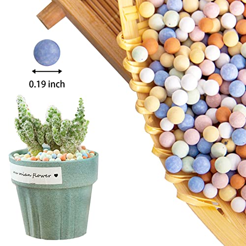 12LBS Ceramsite Clay Pebbles for Orchid - Mini Leca Clay Pebble for Plants Drainage - Perfect Ceramsite Balls as A Soil Topper for Indoor Plants, Cacti Succulents Bonsai.
