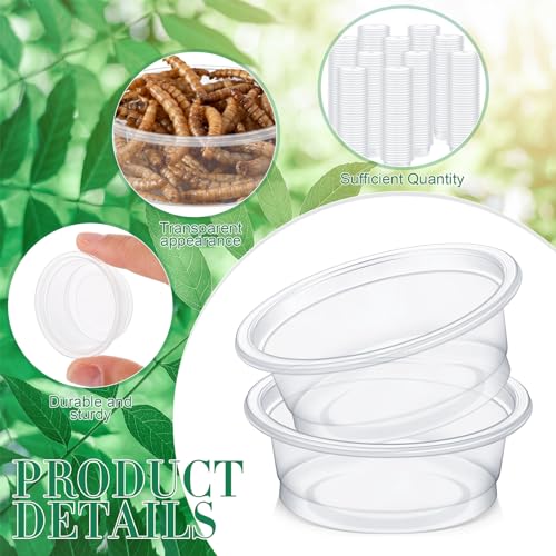 1000 Pcs 0.5 oz Gecko Feeding Cups Small Gecko Food and Water Cups Reptile Feeding Bowls Plastic Bearded Dragon Food Bowl for Lizard Small Pet Ledge Accessories (Transparent) - color: Transparent