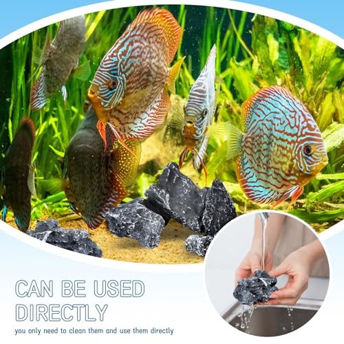 VOKOY 2.5lb Natural Seiryu Stones, Aquarium Rocks Decoration Aquascaping Stone Landscaping Model for Fish Tank Decor Terrariums Paludariums Reptile Enclosures Gardens, 2-6 inches
