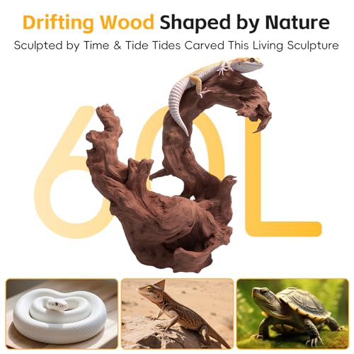 EFFIELER Natural Driftwood for Aquarium Decor – 6-10 INCH Unique Size Real Wood Branches for Fish Tank, Reptile Habitat, Terrarium, Hermit Crab, Shrimp Tank,Safe for Aquatic Pets - size: 6-10 INCH