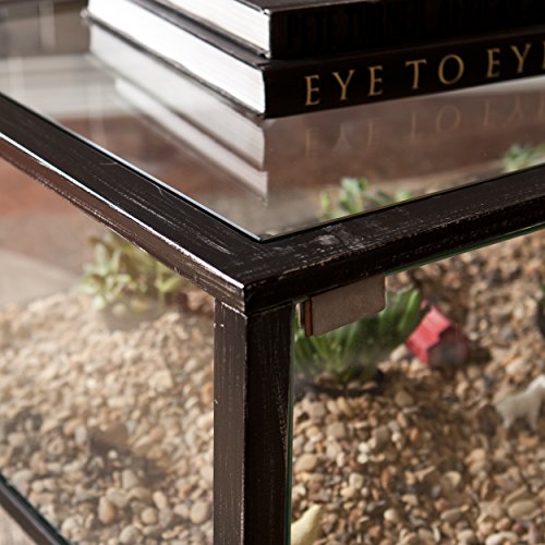 SEI Furniture Metal Terrarium Fish Display Coffee Table, Cocktail, Black/Silver Distressing - style: Cocktail Table