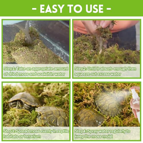 Riare 3.5oz Natural Sphagnum Moss for Reptiles, Terrarium Substrate Bedding | 4QT High Expansion, Moisture Retention, Helps Shedding, Long Fibered Dried Moss for Leopard Gecko, Snake, Frog, Turtle - color: 3.5 OZ