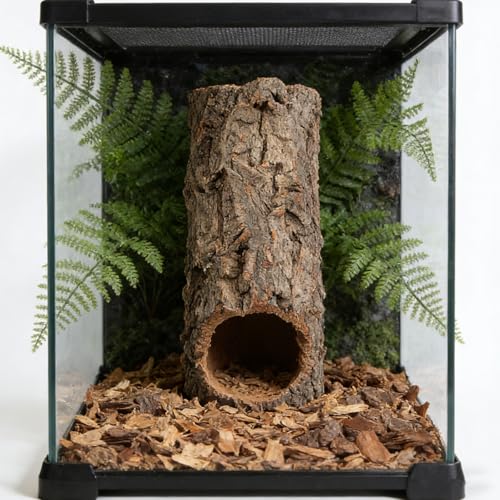 Veemoon Natural Tree Trunk Reptile Hide, Hollow Wood Log Lizard Hide Cave Reptile & Amphibian Habitat Hideouts Aquarium Climbing Platform Fish Tank Shelter Landscape for Pet Tank Supply, 8×4" - size: 20.00X7.00X7.00CM