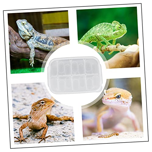Professional Reptile Breeding Box Durable Egg Incubator Case for Hatching Geckos Lizards and Turtles Lightweight Design for Easy Use and Protection - color: White