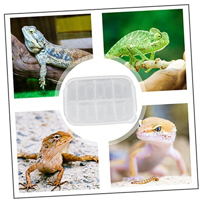 Professional Reptile Breeding Box Durable Egg Incubator Case for Hatching Geckos Lizards and Turtles Lightweight Design for Easy Use and Protection - color: White