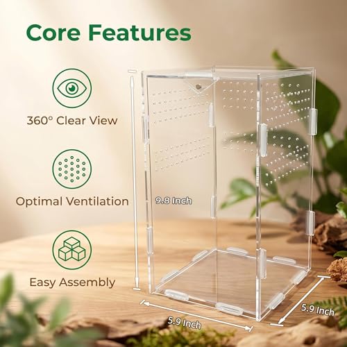 Portable Acrylic Jumping Spider Terrarium with Magnetic Lock 5.9x5.9x9.8 | Ventilated design; secure magnetic lock closure. Designed for small reptiles & insects. Lightweight for travel and display - size: 5.9×5.9×9.8 Inch