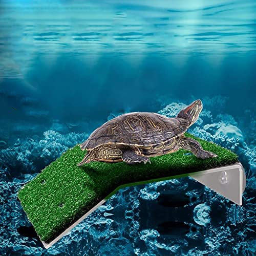 XMHF Turtle Basking Platform, Tortoise Ramp Reptile Ladder Resting Terrace Fish Tank Aquarium Turtle Dock Floating Decor for Reptile Frog Terrapin Medium - size: Medium