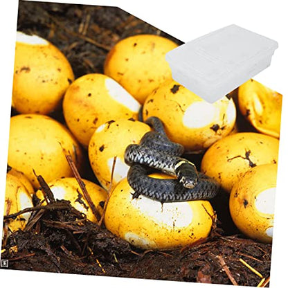 GALPADA 20grids Hatching Incubation Box for Reptiles Plastic Widely Used for Snakes Lizards Geckos and More Improve Incubation Rate