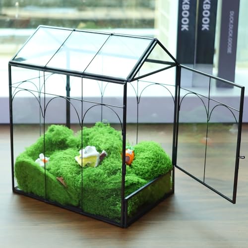 Geometric Plant Terrarium with Lid (Black with Side Door) | House Succulent Terrarium Kit for Succulents Cacti Snail, Home Tabletop Miniature Terrarium - color: Black with side door