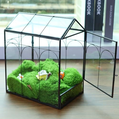 Geometric Plant Terrarium with Lid (Black with Side Door) | House Succulent Terrarium Kit for Succulents Cacti Snail, Home Tabletop Miniature Terrarium - color: Black with side door