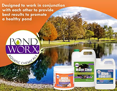 PondWorx Pond Bacteria - Formulated for Large Ponds, Water Features and Safe for Koi - Gallon - size: 1 Gallon (128oz)