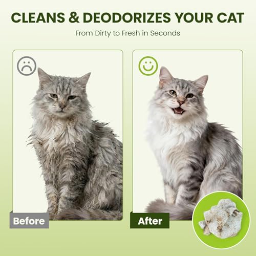 Hypoallergenic Pet Wipes for Dogs, Cats & Small Animals,100 Count | Quick Clean & Deodorize Paws, Butt, Eyes, Face & Fur | Daily Grooming Wipes | Extra Large & Thick | Coconut Scented - size: 100 Grooming Wipes