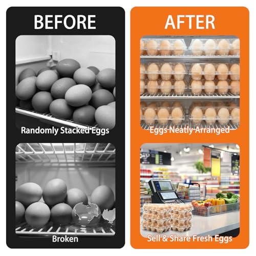 100 Pack 3x4 Plastic Egg Cartons Bulk 12 Count Clear, Reusable Stackable Dozen Chicken Eggs Containers Holders for Storage, Family, Farm Markets and Commercial Display