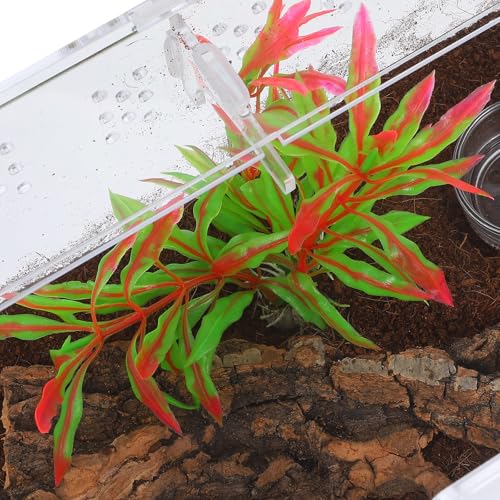 Abaodam Reptile Terrarium Acrylic Tank 25x15x15cm Enclosure with 4pcs Starter Kit for Lizards, Tarantulas, Frogs, Suitable for Home Breeding and Pet Habitat