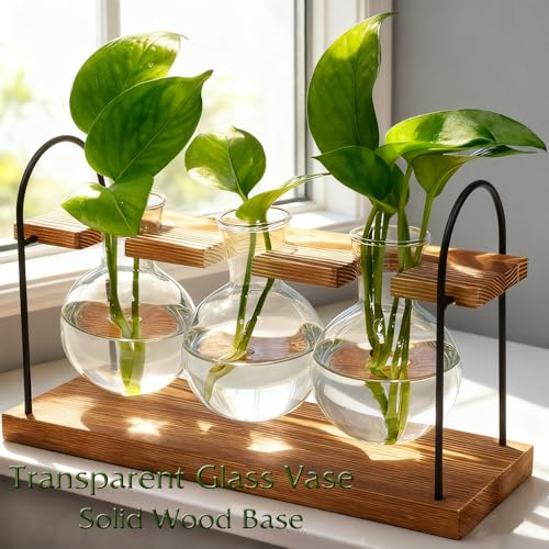 Plant Terrarium with Wooden Stand, Birthday Gift for Women Mom Plant Lover | Retro Glass Plant Propagation Station, Plant Pot Hydroponic, Unique Parent Gardening Gifts, Home Office Garden Decor Planter