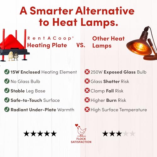 RentACoop 10x10” Heating Plate with Hard Anti-Roost Cone Set