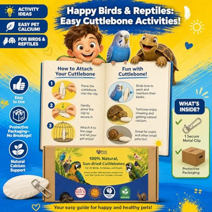 Birds LOVE 7.5-8" Cuttlebone for Birds – 100% Natural Sun-Dried Calcium Carbonate Mineral Supplement – for Parakeets, Budgies, Cockatiels, Finches & Canaries – 2 Pack with Holder – Made in Vietnam - size: 2 Count (Pack of 1)