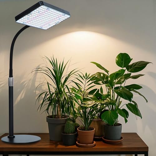 Tabletop Grow Lights for Indoor Plants 25 Watt, Bright Natural Sunlight Full Spectrum Plant Growing Lamps for Houseplants & Bonsai, 4/8/12/16/20H Timer Plant Light Auto On/Off Everyday - size: 1Head Tabletop(25W)