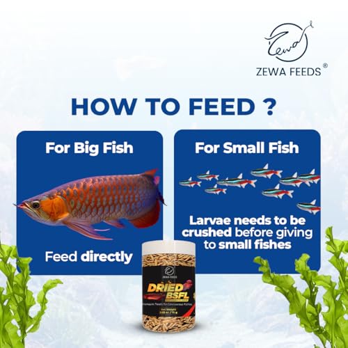 Dried Black Soldier Fly Larvae - 100% Natural, Protein Rich Fish Food for Arowana, Flower Horn, Oscar, Parrots, Reptiles (75 g/2.65 Oz/500 ml)