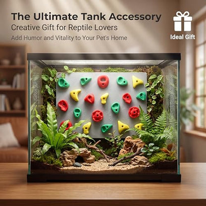 2-Pack Climbing Wall for Reptiles, Terrarium Habitat Decor | 2PCS Climbing Wall for Reptiles for bearded dragons, leopard geckos, habitat decor & enrichment