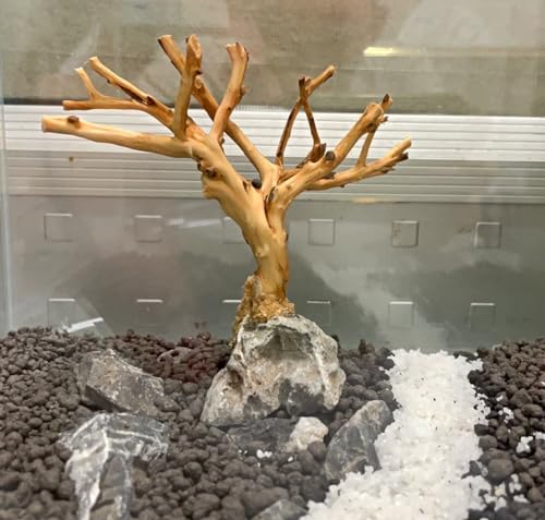 YZHZOM 2pcs Small Bonsai Aquarium Tree,4-6inch,Handmade Aquarium Bonsai Tree Aquarium Decor Tree