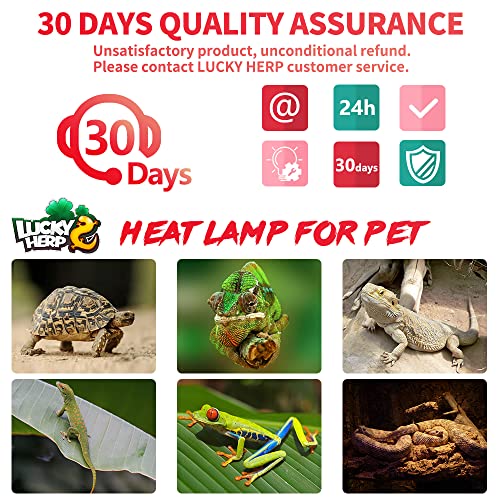 LUCKY HERP 75W Reptile Heat Lamp Bulbs 2 Pack, Reptiles & Amphibians Infrared Basking Spot Lamp, Heat Light Bulb for Turtle, Bearded Dragon, Lizard - color: Infrared Basking Light Bulb, size: 75 Watts