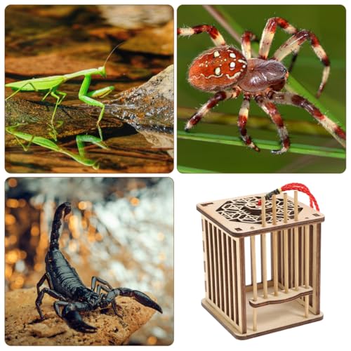 Balacoo Wooden Cricket Cage 6.3In, Hanging Reptile Habitat with Chinese Knot for Grasshoppers & Spiders, Ventilated Breeding Box for Indoor/Outdoor Use
