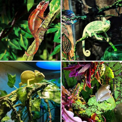 Reptile Vines Plants Decor, Lizard Tank Accessories Artificial Plants Vines and Flexible Leaves for Lizard Geckos Snakes Hermit Crab Frogs