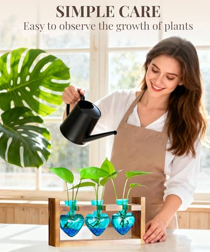 Nacome Plant Terrarium with Wooden Stand, 3 Heart Bulb Glass Vases | Wooden Stand Tabletop for Air Planter, Gifts for Mom Plant Lovers Mom Women Wife Grandma - color: Blue