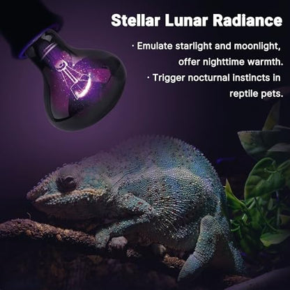 60W Reptile Night Light Bulb, UVA Heat Lamp, Purple Basking Lamp | Simulates Natural Moonlight, Creates a Natural Nighttime Environment, Ideal for Amphibians & Nocturnal Viewing in Terrariums - color: Purple-moonlight Heat Lamp, size: 60 Watts