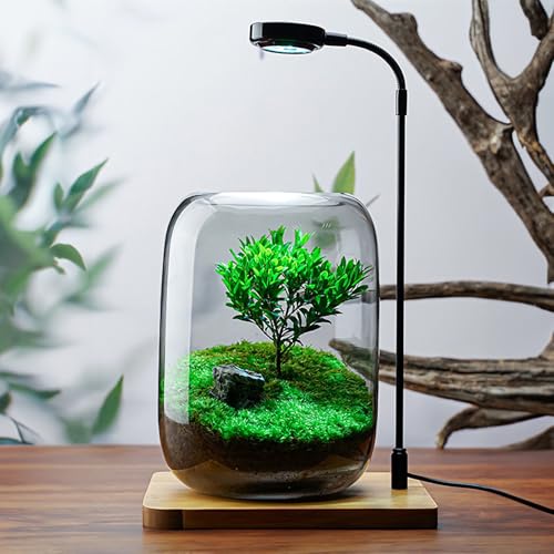 SARUFO Glass Plant Terrarium Kit, 6.3"X8.6" Micro-Landscape Vase with Light, Snowman and Pine Trees, for Home Office Tabletop Decoration, Wardian, Unique