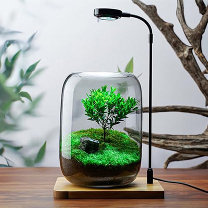SARUFO Glass Plant Terrarium Kit, 6.3"X8.6" Micro-Landscape Vase with Light, Snowman and Pine Trees, for Home Office Tabletop Decoration, Wardian, Unique