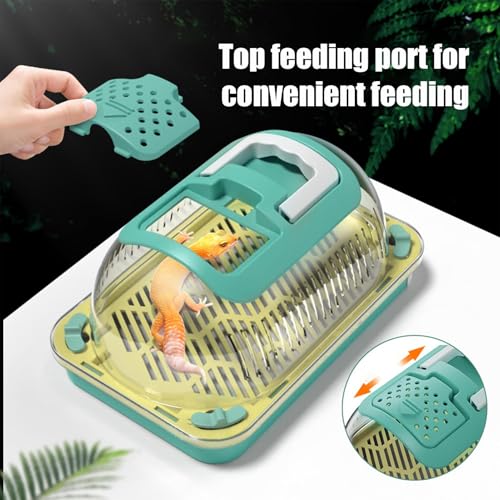 Plasti c Reptile Terrarium Carrier Cage with Handle & Tray, Portable Breathable Reptiles Feeding Box Clear Travel Carrier for Small Reptile Amphibians, 19 x 12.5 x 9.5 cm