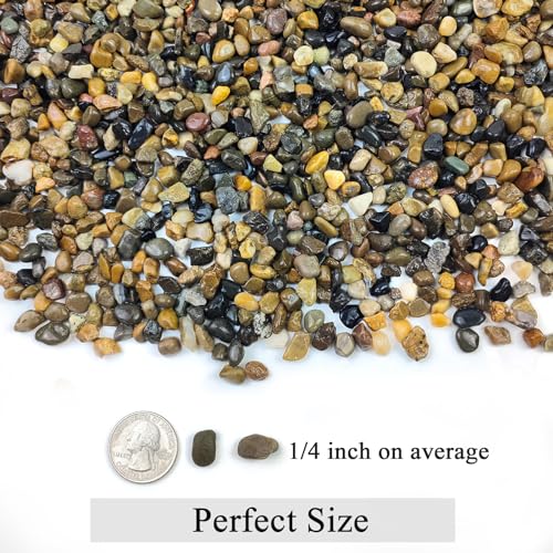 FANTIAN 2 lbs Aquarium Gravel, 1/4 inch Pea Gravel for Fish Tank | Natural Pebbles River Rocks for Plants, Succulent, Vase, Pond, Outdoor Landscaping, Drainage, Terrarium, Safe for Fish - size: 1/4 Inch