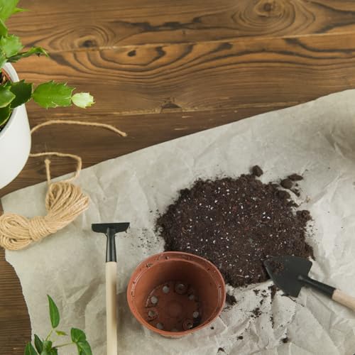 Doter Christmas Cactus Potting Soil Mix 1qt, Ideal for Succulents, Christmas Cacti, and Other Indoor Potted Plantings - size: 1qt