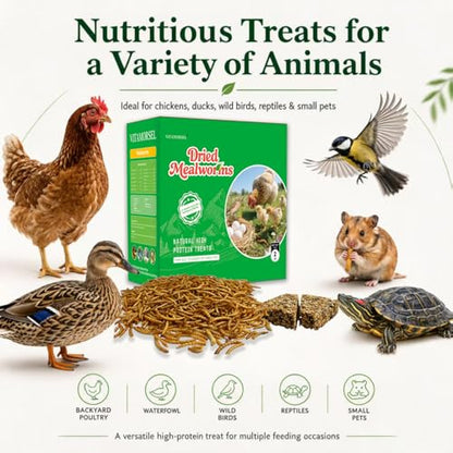 2LB Dried Mealworms with 175g Pecking Treat Cake for Chickens | Ducks & Wild Birds - High Protein Natural Poultry Treats