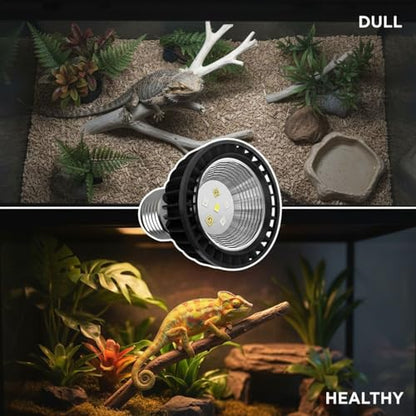 Reptile Light Bulb UVB 5.0, 3W Full Spectrum UVA UVB Light for Reptiles, E27 Base, Aluminum Shell, Low Power Consumption, Vitamin D3 Synthesis, 2.8 x 2.4 x 2.4 in