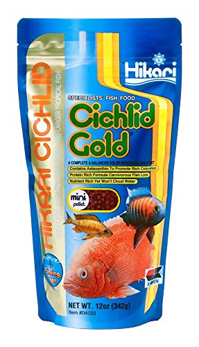 Hikari Cichlid Gold Color Enhancing Sinking Fish Food - Mini Pellet - 12 oz