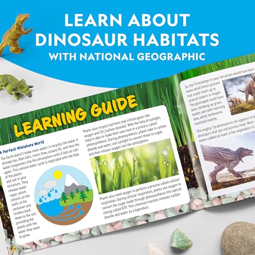 National Geographic Light-Up Dinosaur Terrarium Kit for Kids Ages 6+ | Real Plants and Gemstones, Night Light, Dino Habitat, DIY Science Activity, Dinosaur Toys, Birthday Gift - style: Large Dino Habitat