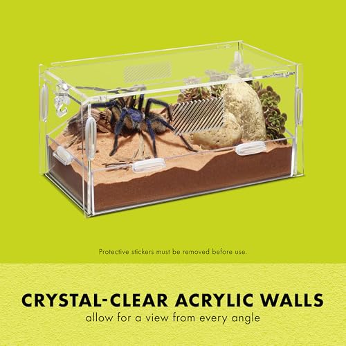 Zilla Micro Habitat Terrarium, Terrestrial, with Locking Latch, for Isopods, Spiders, Insects, Small - size: Small, style: Terrestrial
